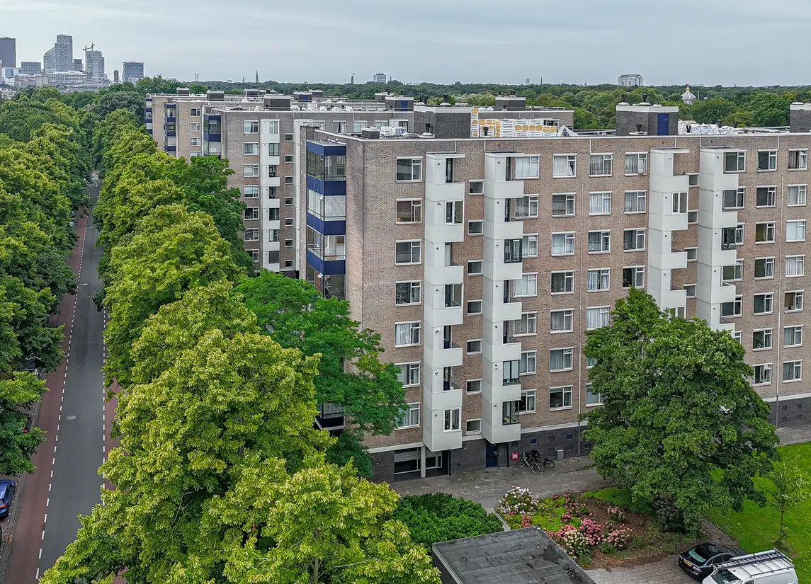 Vlaskamp 494