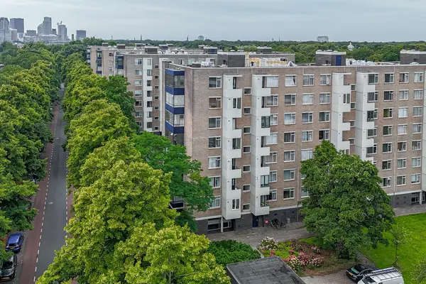 Vlaskamp 494