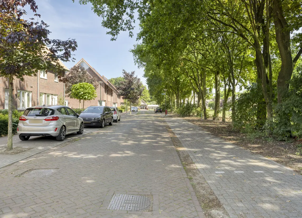 Postelein 20