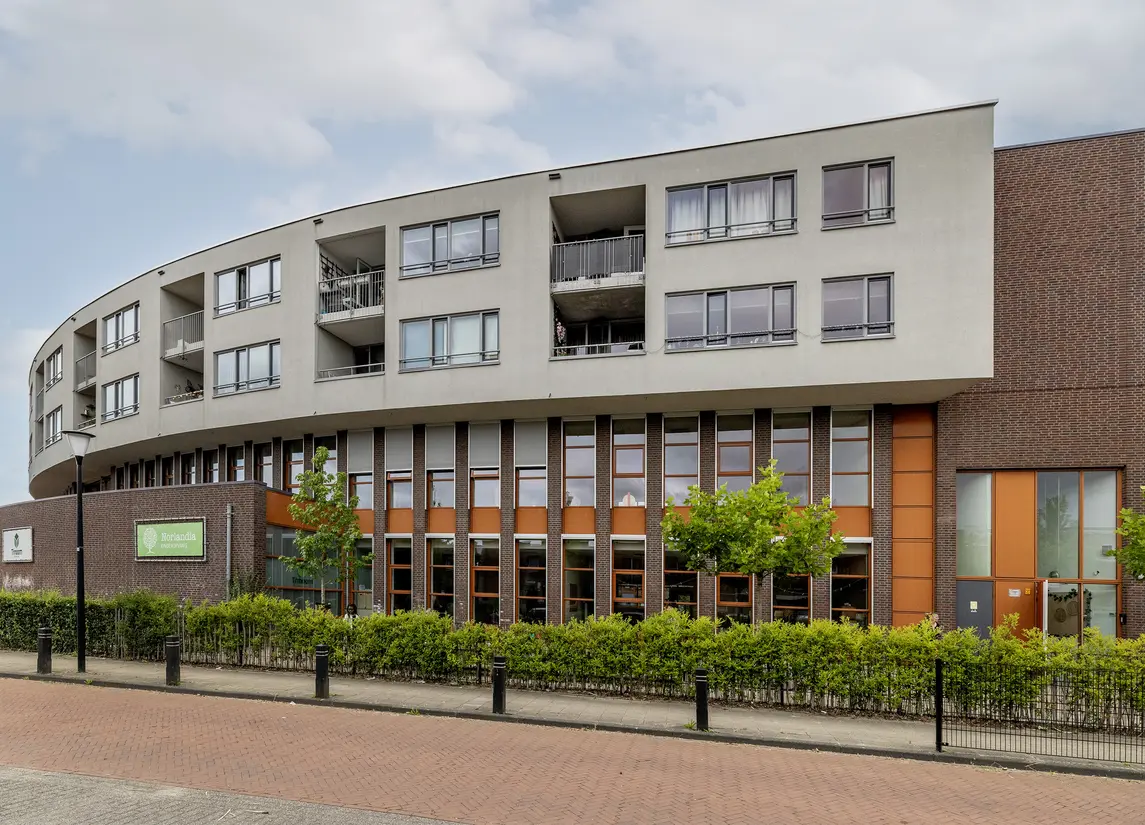 Iepenwede 42
