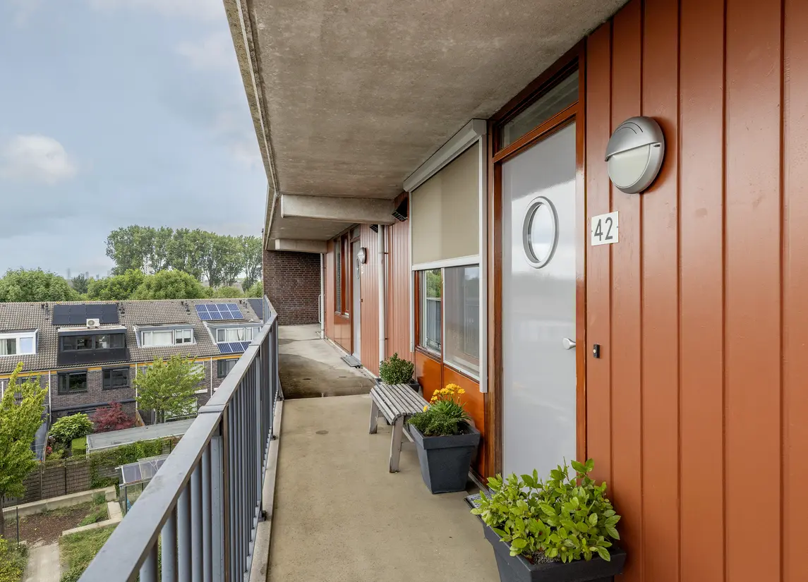 Iepenwede 42