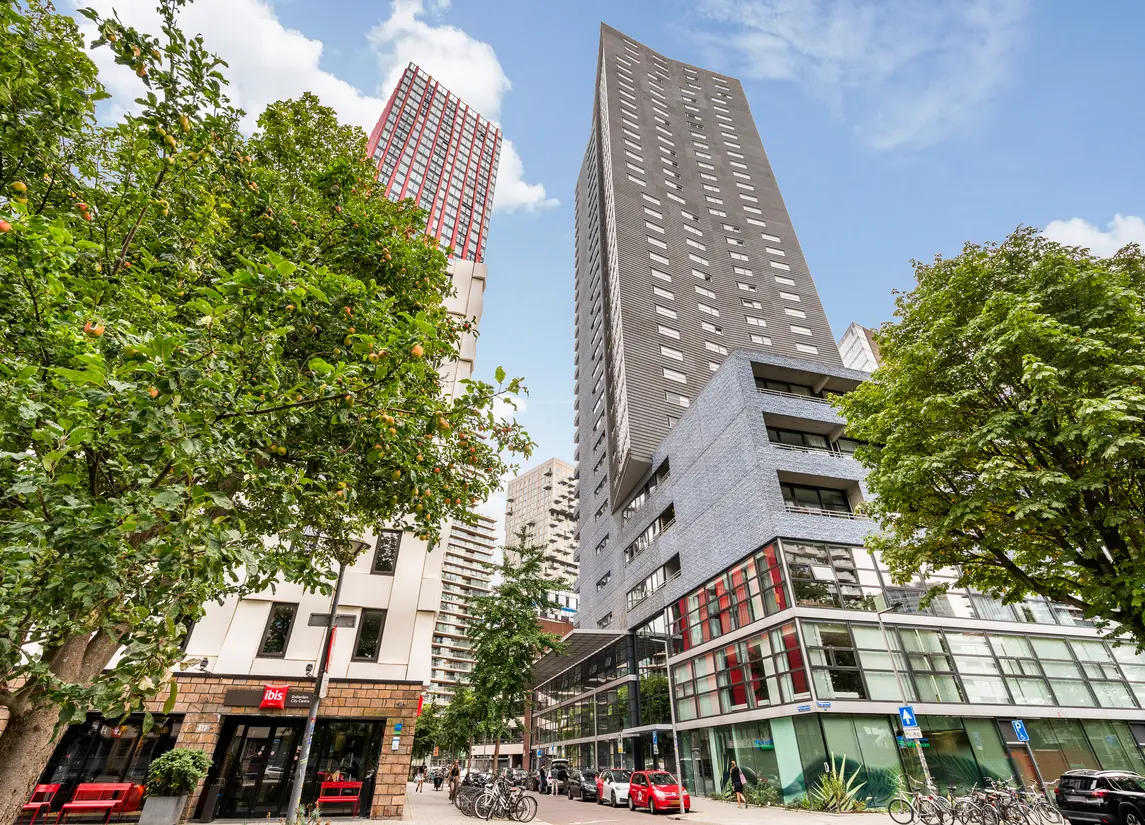 Wijnbrugstraat 295