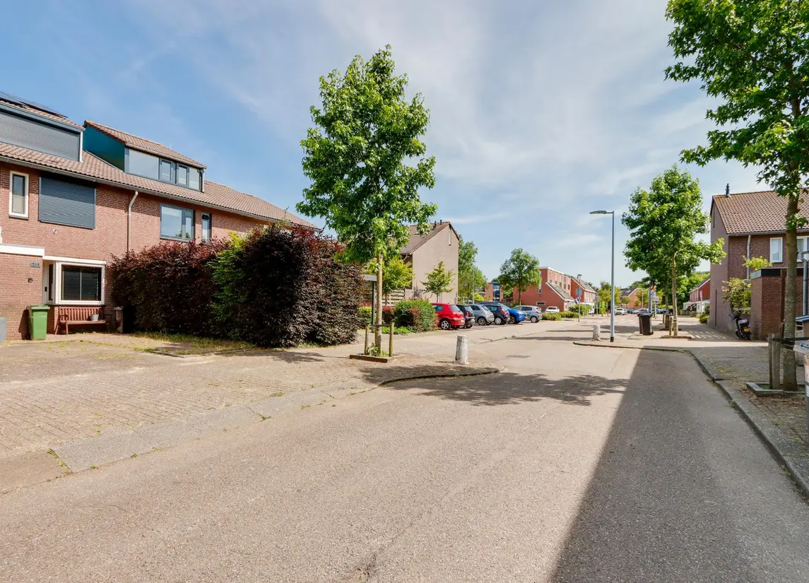 Birkholm 256