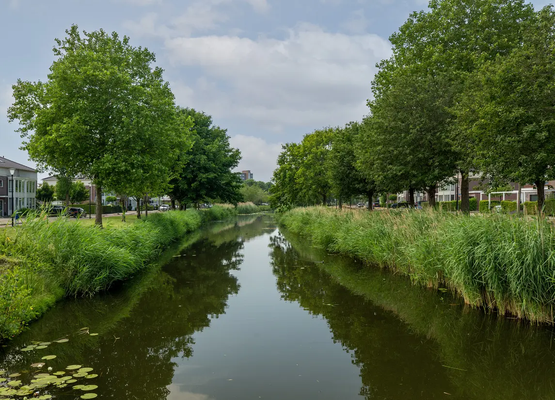 Avenue Carnisse 180