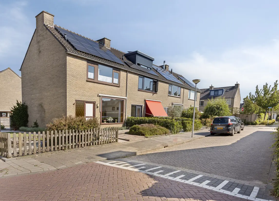Windhalm 1
