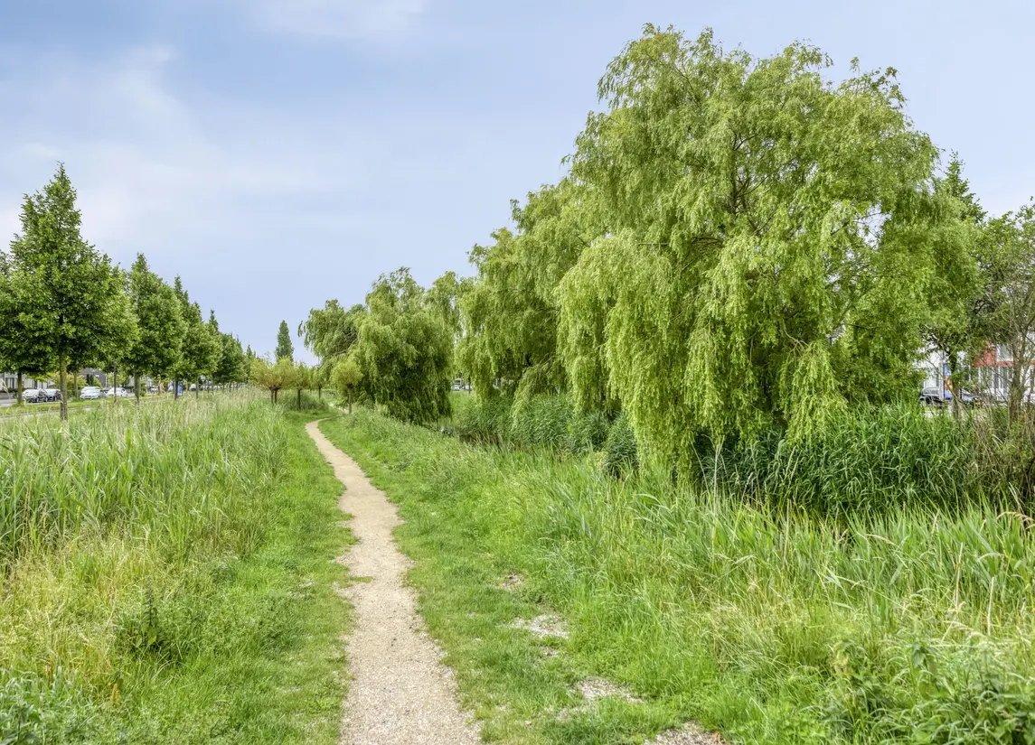 Paaldijk 83