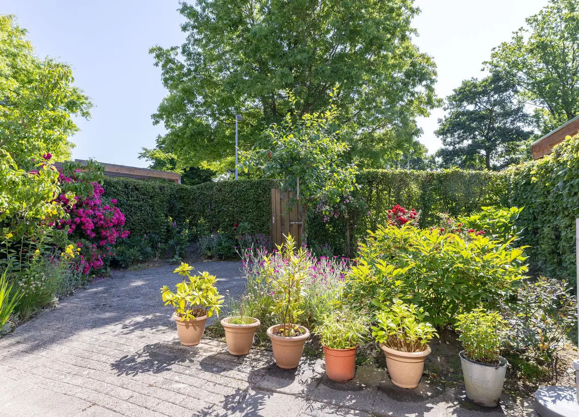 Binnenplaats 44