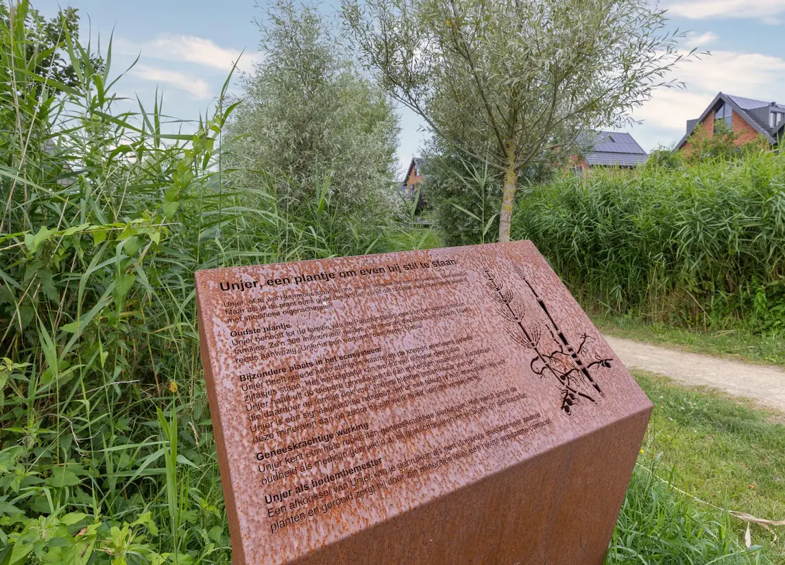 Lage Hoek 119