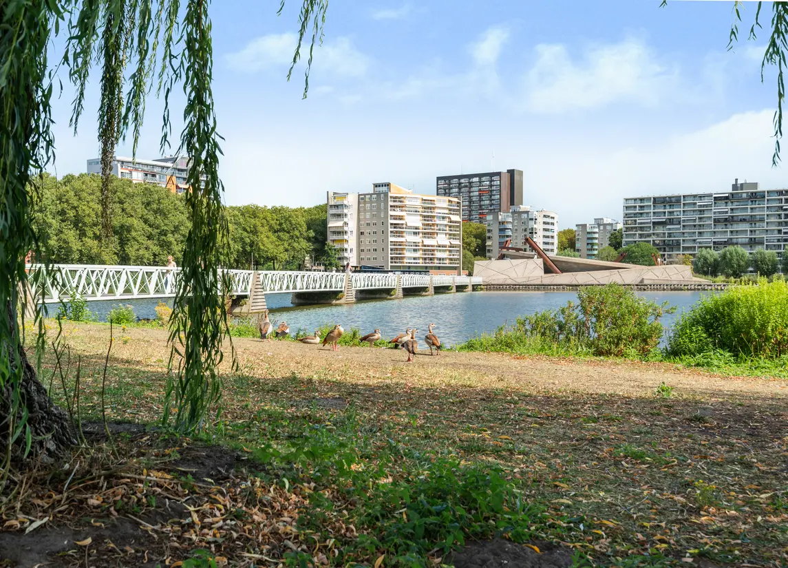 Koningslaan 229