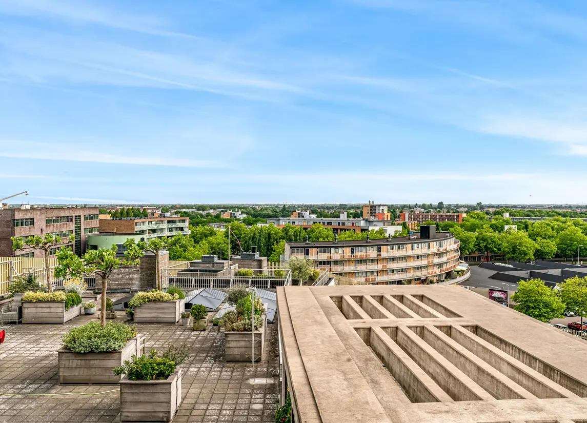 Zuidland 61