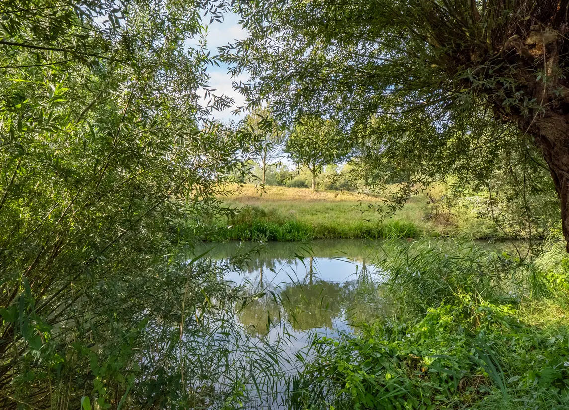 Filipijnen 157