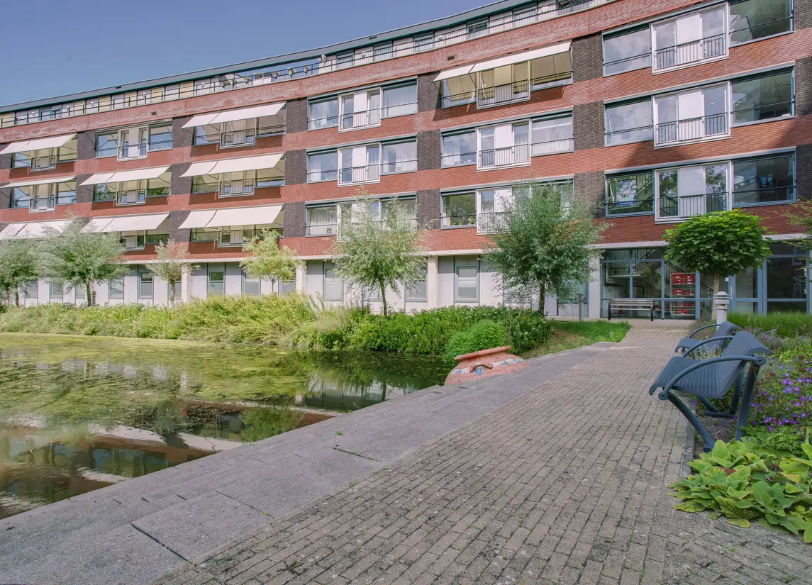 Ommedijk 81