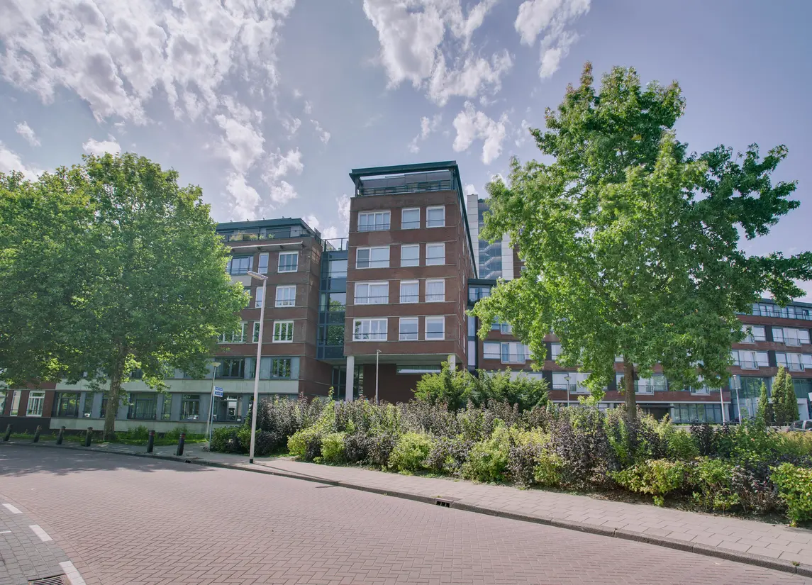 Ommedijk 81