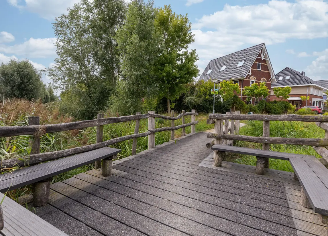 IJsvogel 1