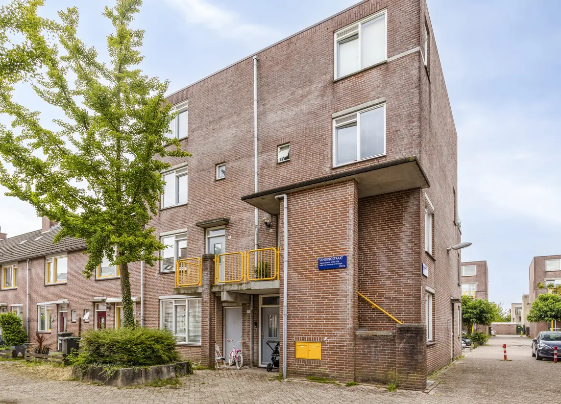 Sandinostraat 55