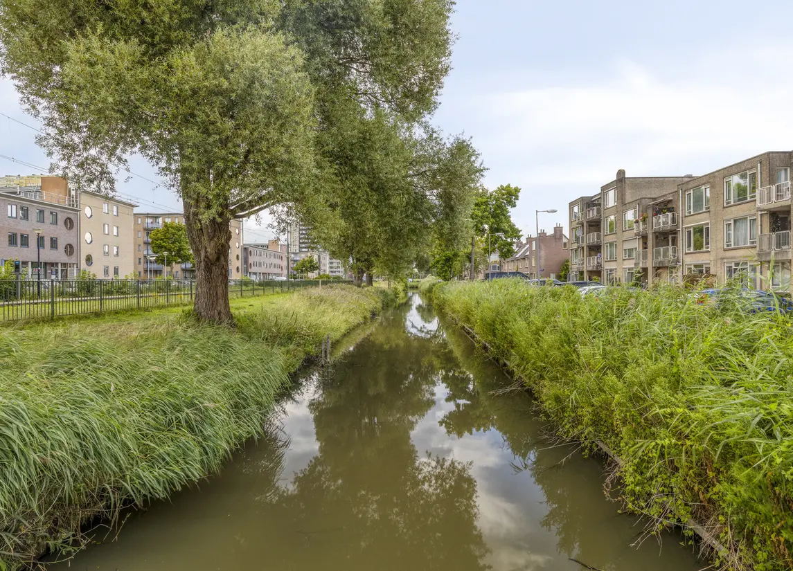 Sandinostraat 55