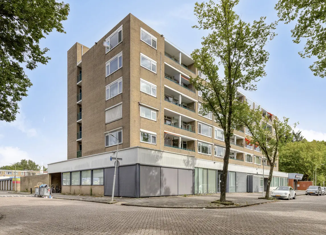 Spaansgroenstraat 24