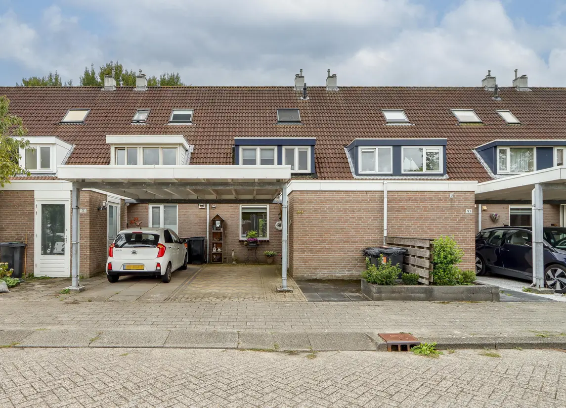 Zandbos 99