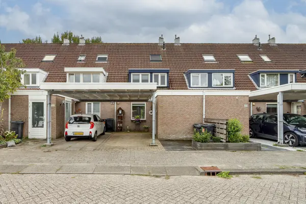 Zandbos 99