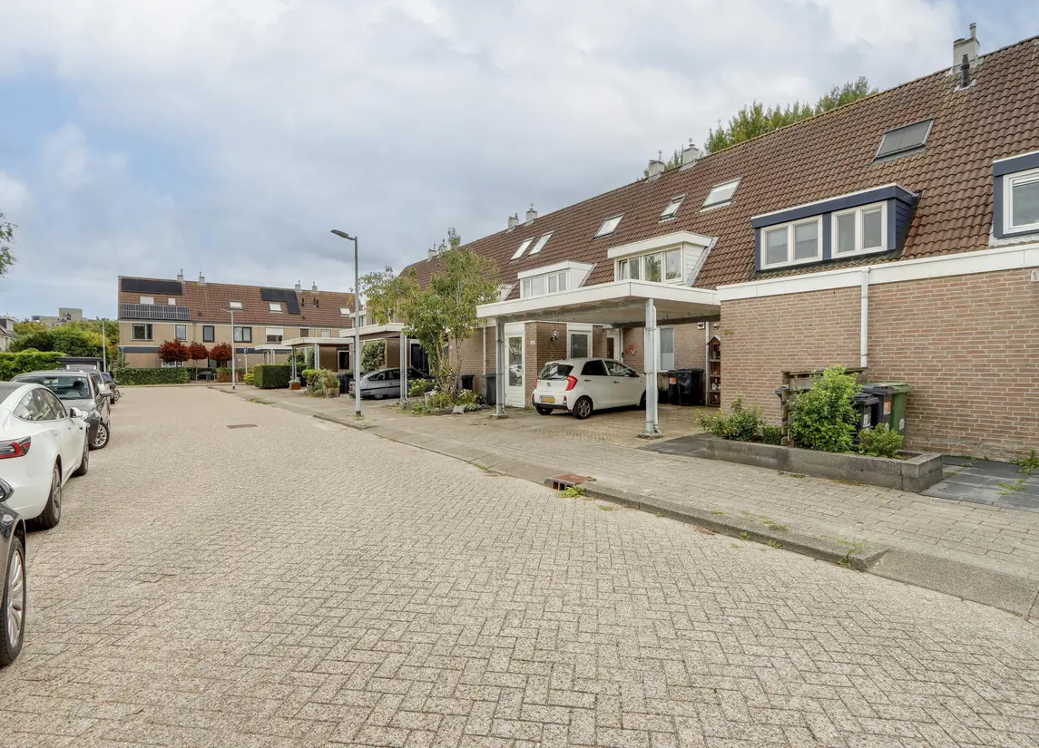 Zandbos 99