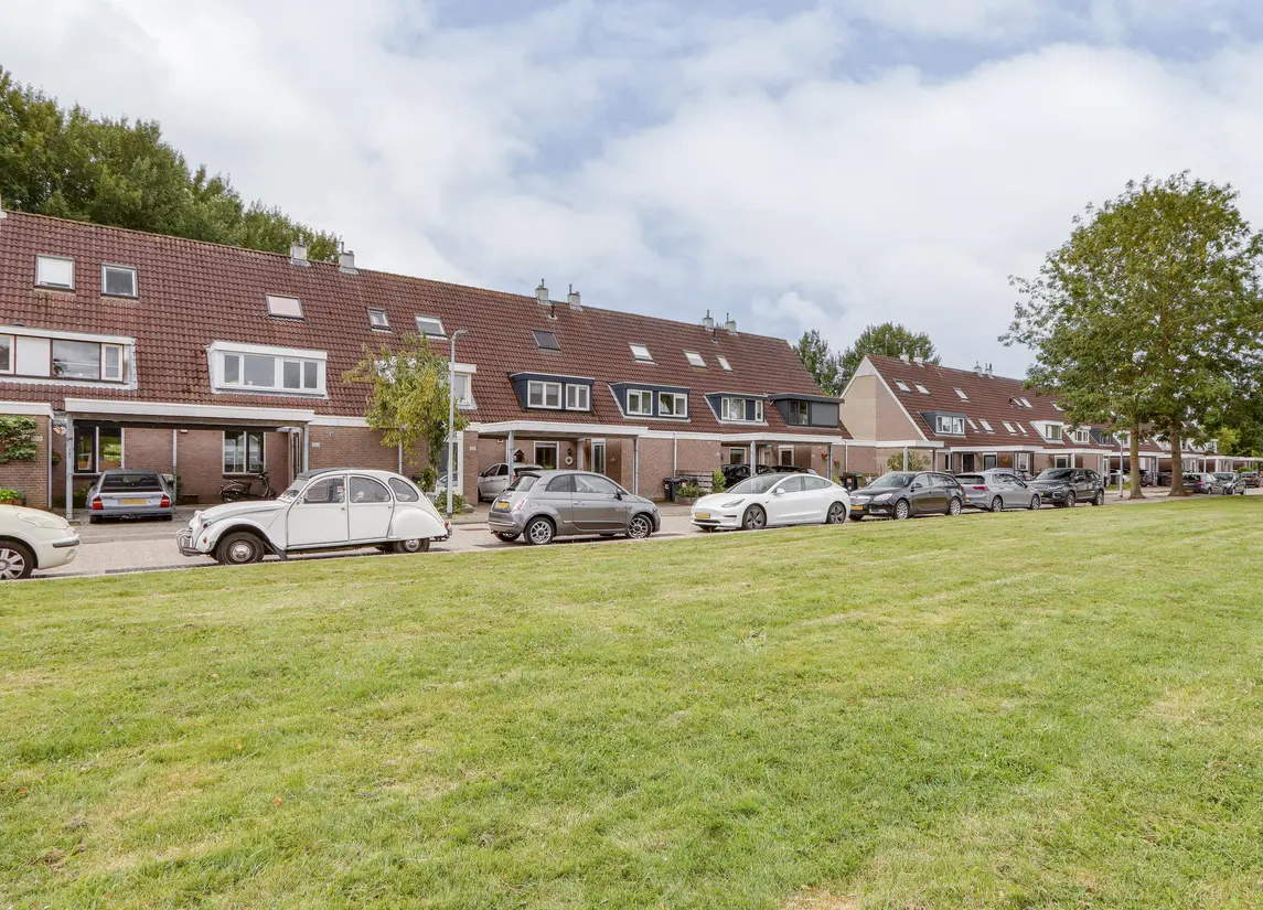 Zandbos 99
