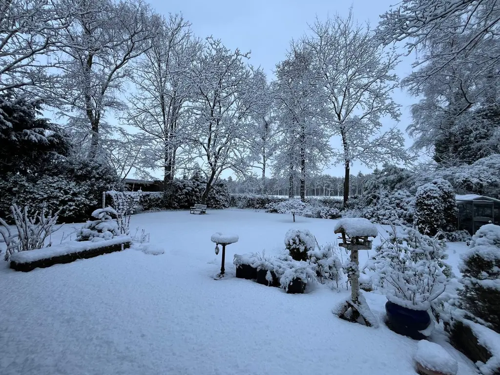 Sporkehout 38, GELDROP