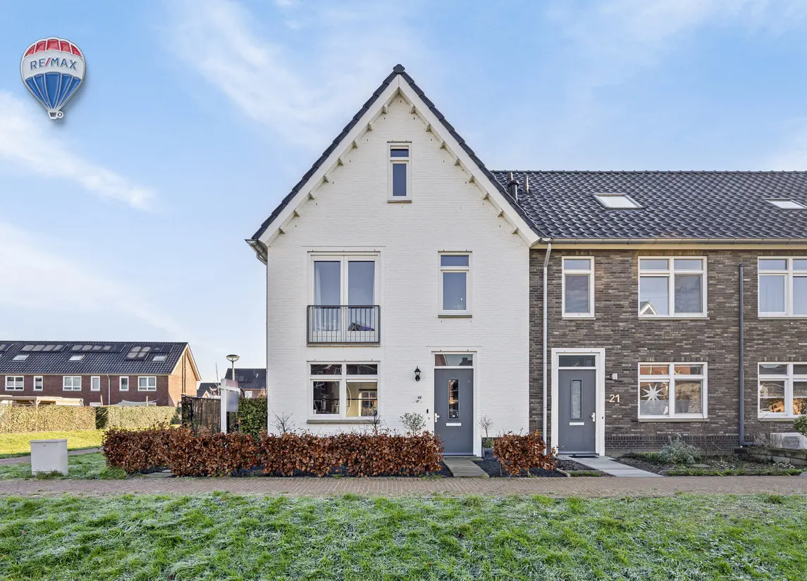 Scholekster 19