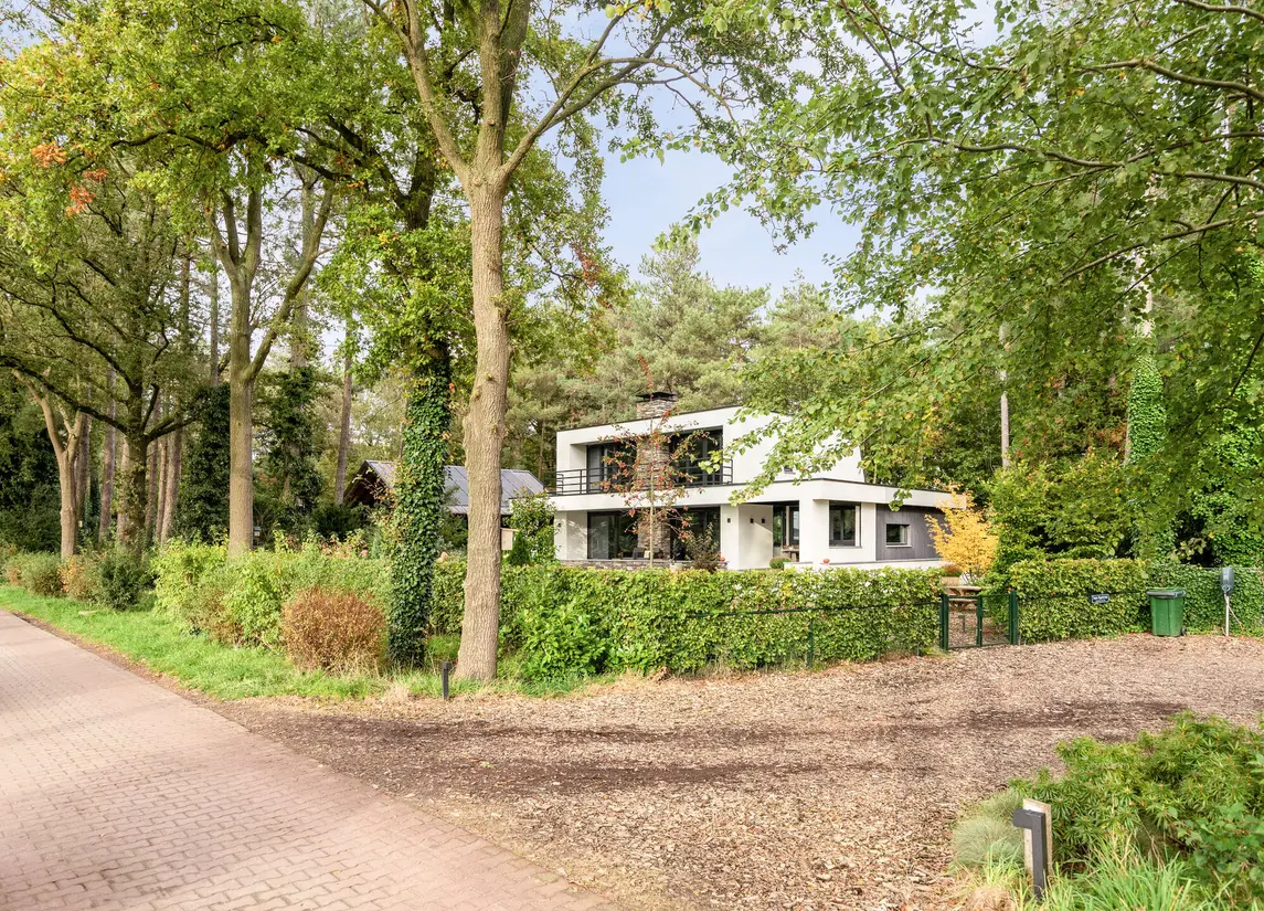 De Stille Wille 35