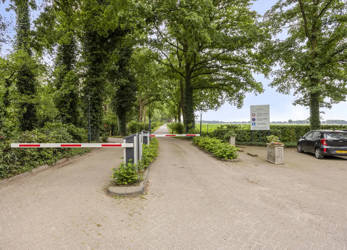 De Stille Wille 36