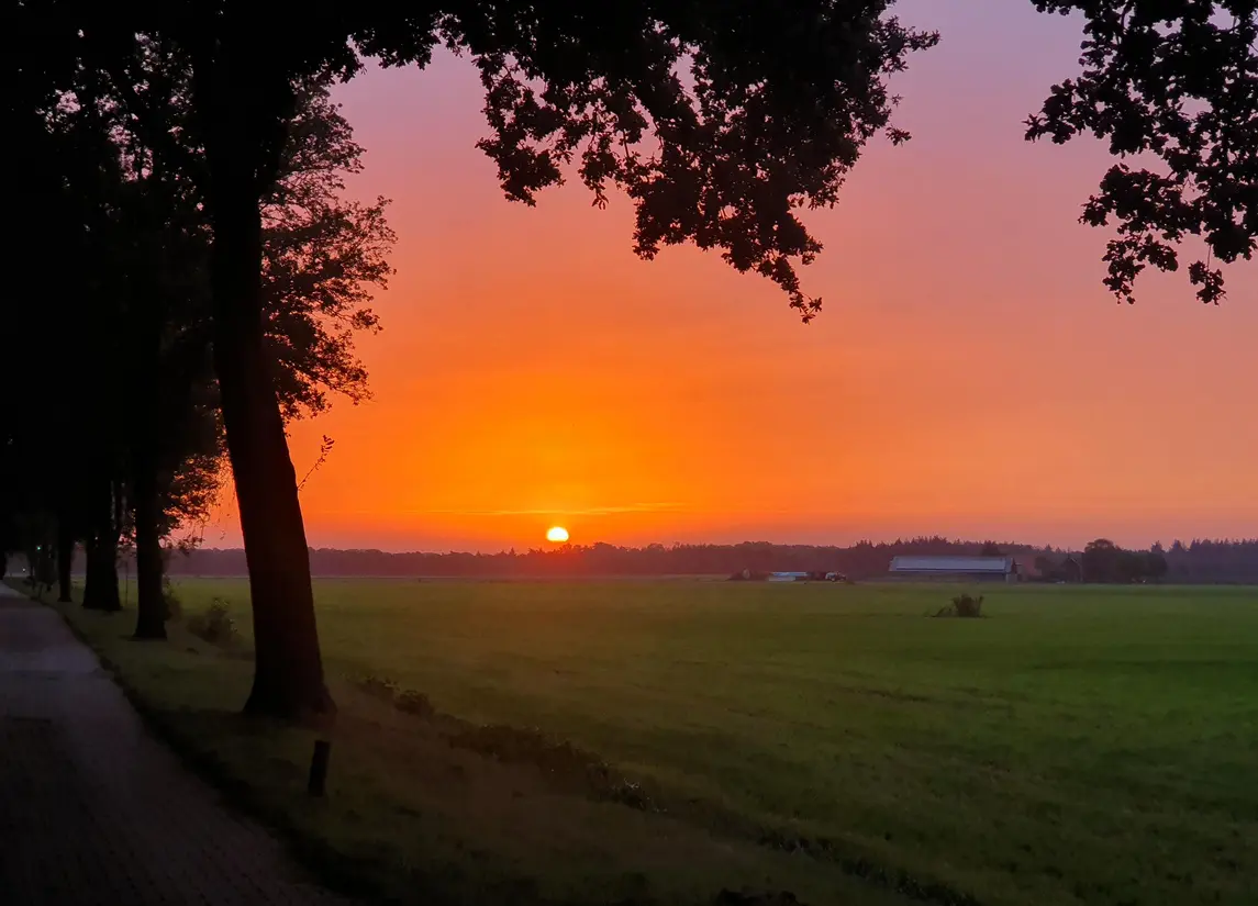 De Stille Wille 162