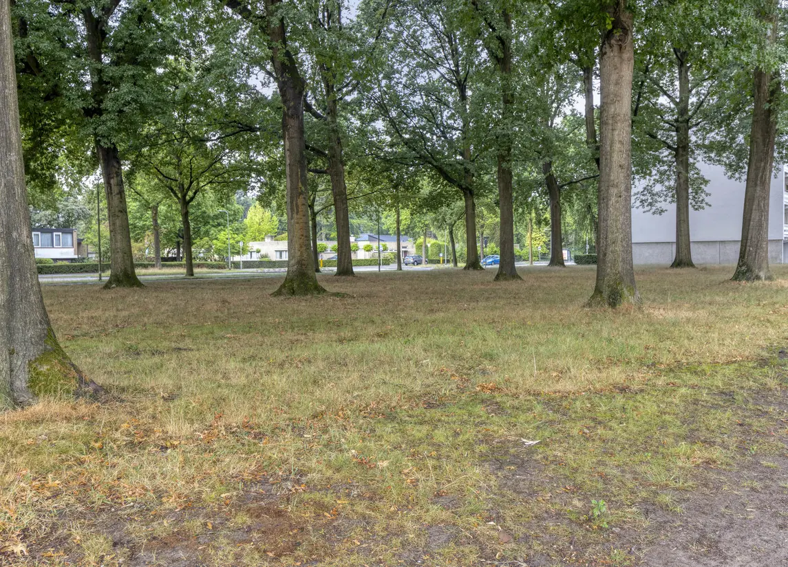 Wijnruitweg 98