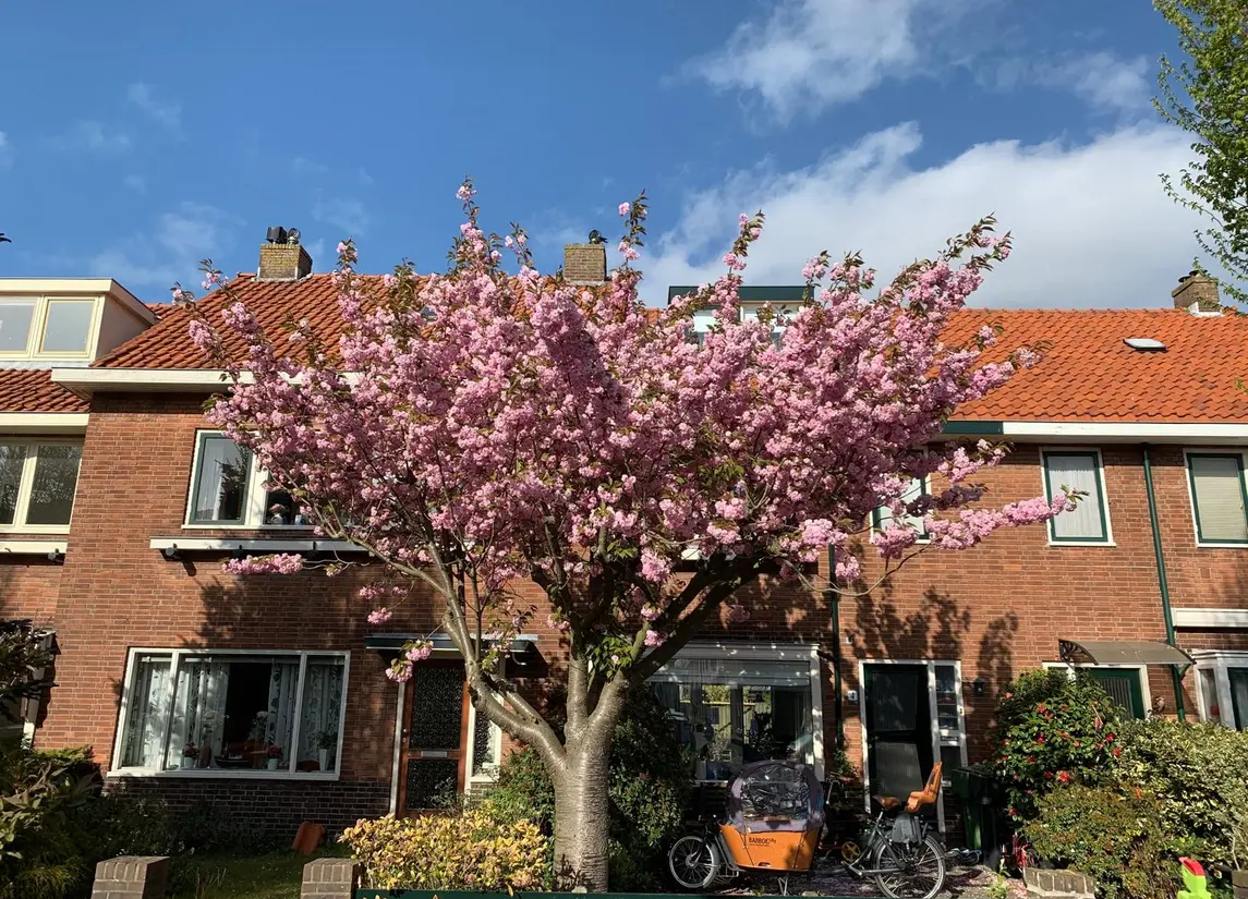 Van Kempenstraat 4
