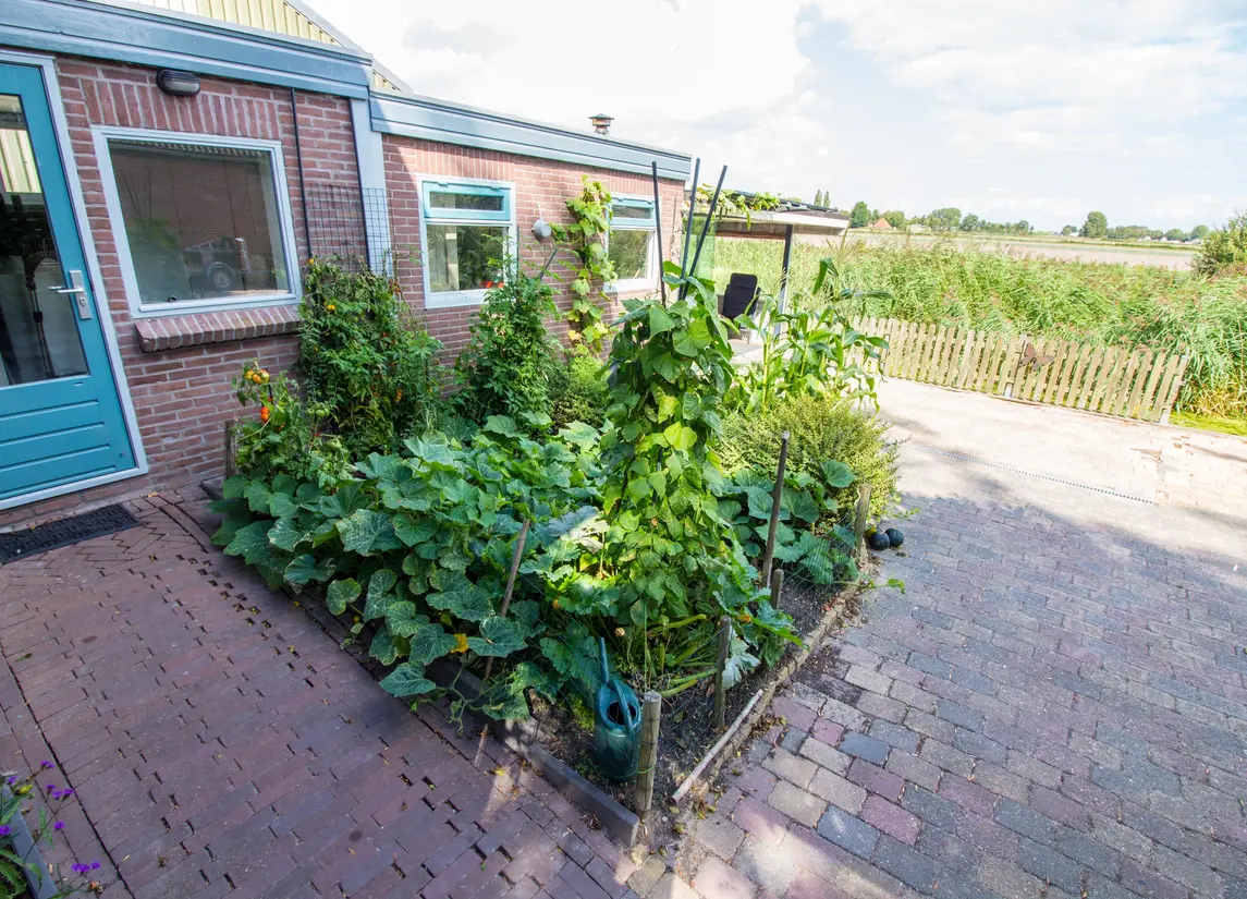Molenweg 25