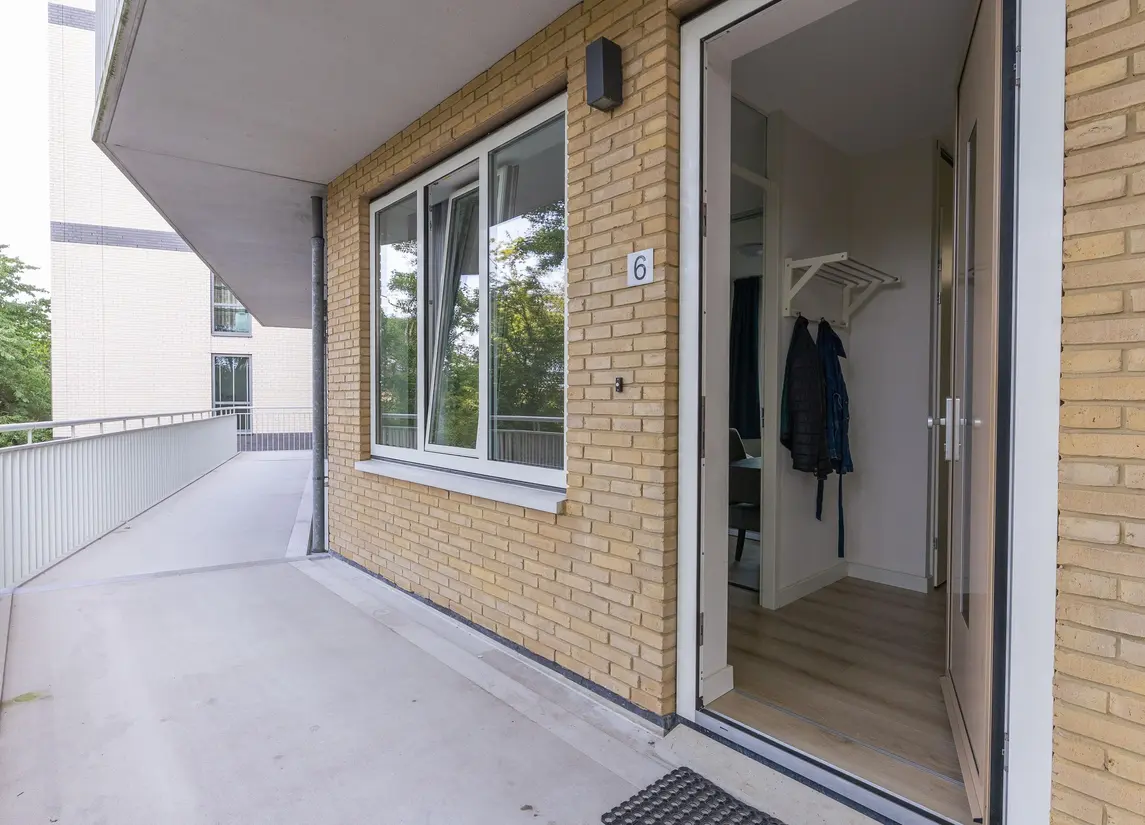 Bart van der Leckhof 6