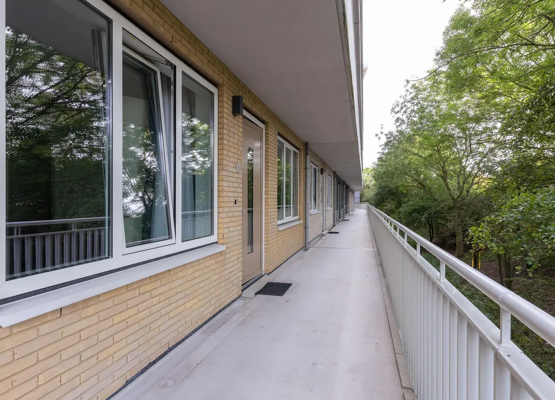 Bart van der Leckhof 6