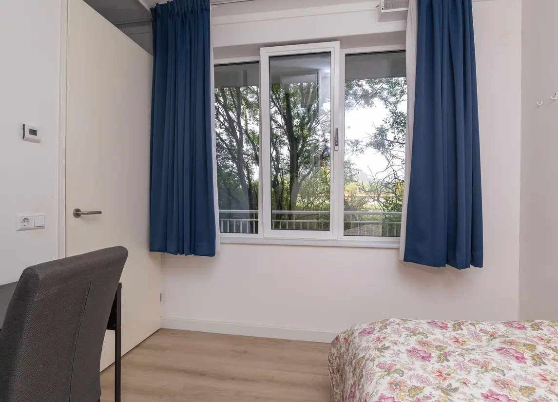 Bart van der Leckhof 6