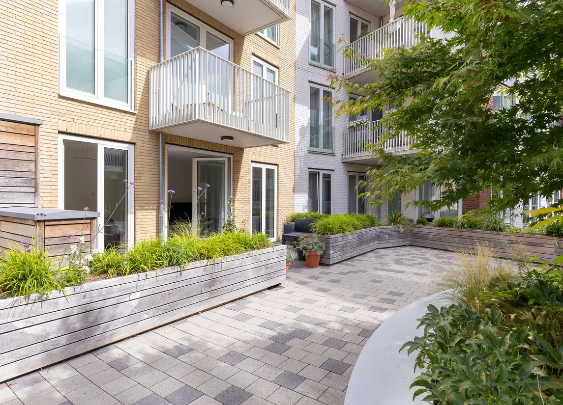 Bart van der Leckhof 6