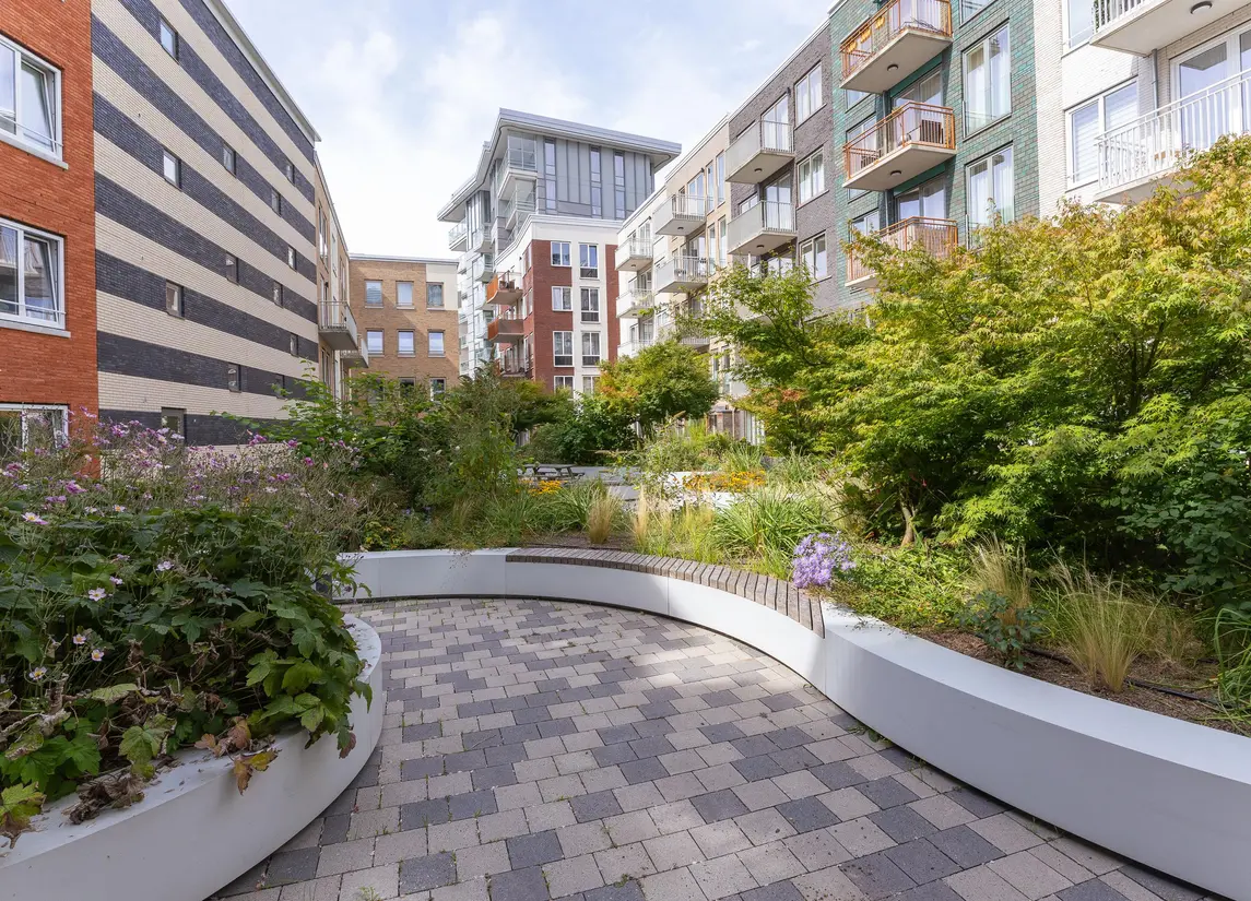 Bart van der Leckhof 6