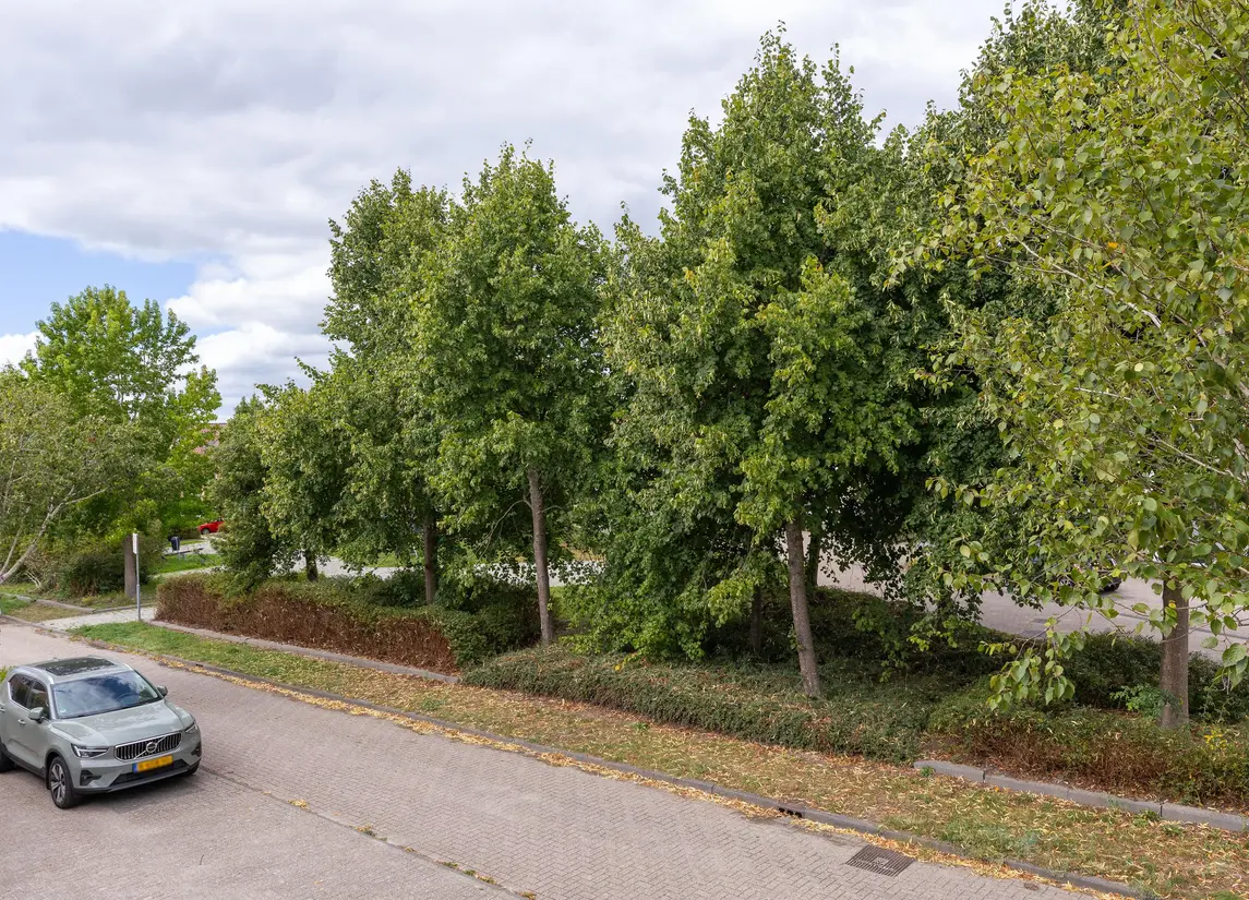 Matissehof 77