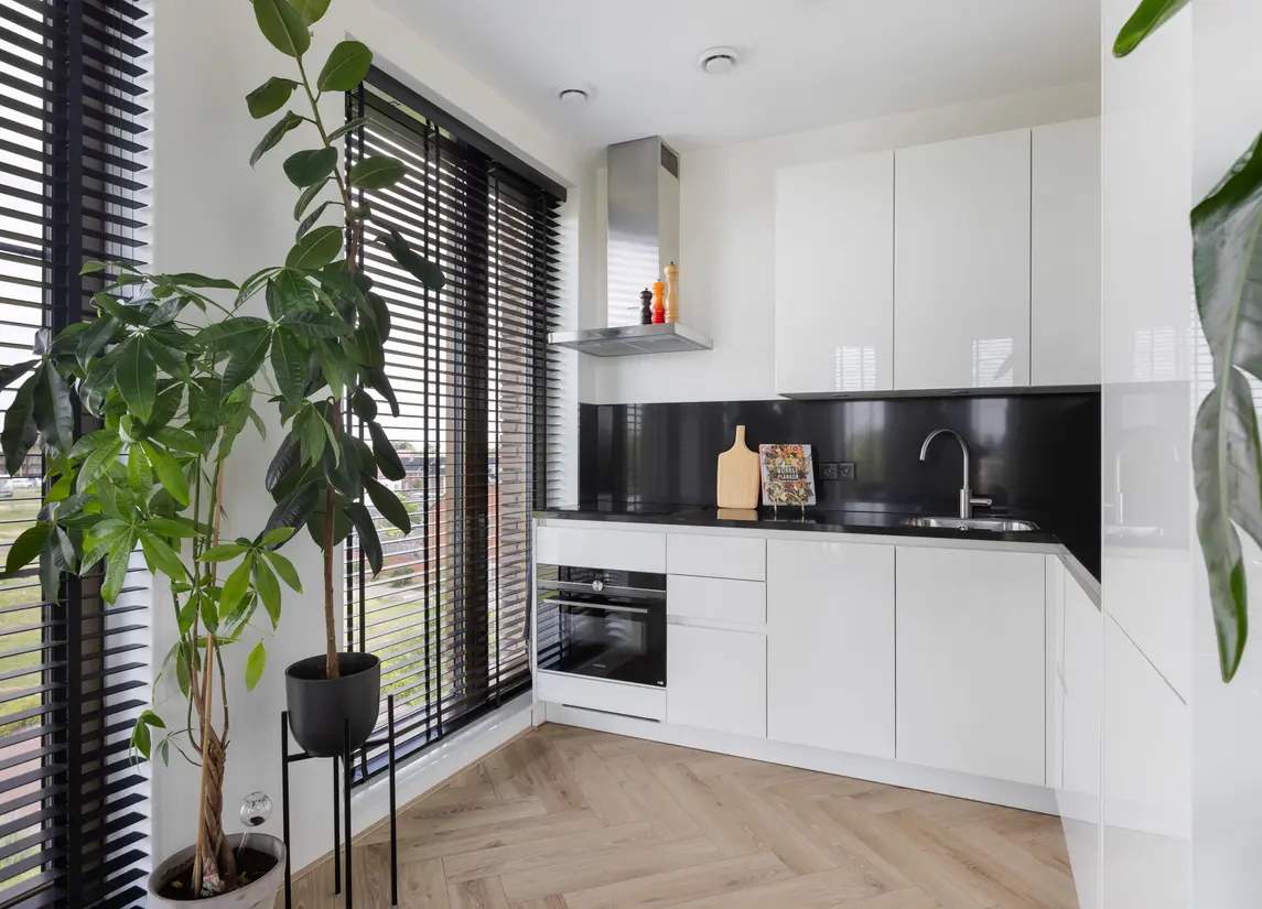 Zilveren Florijnlaan 261