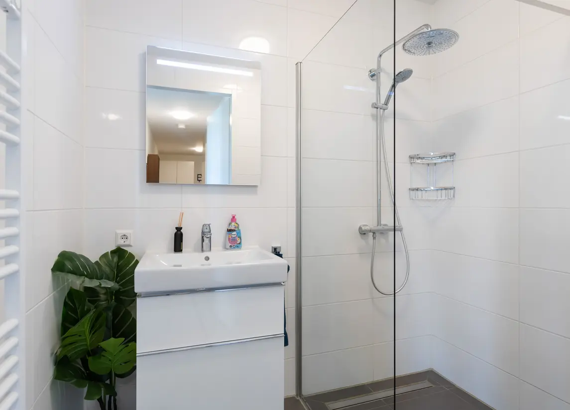 Zilveren Florijnlaan 261