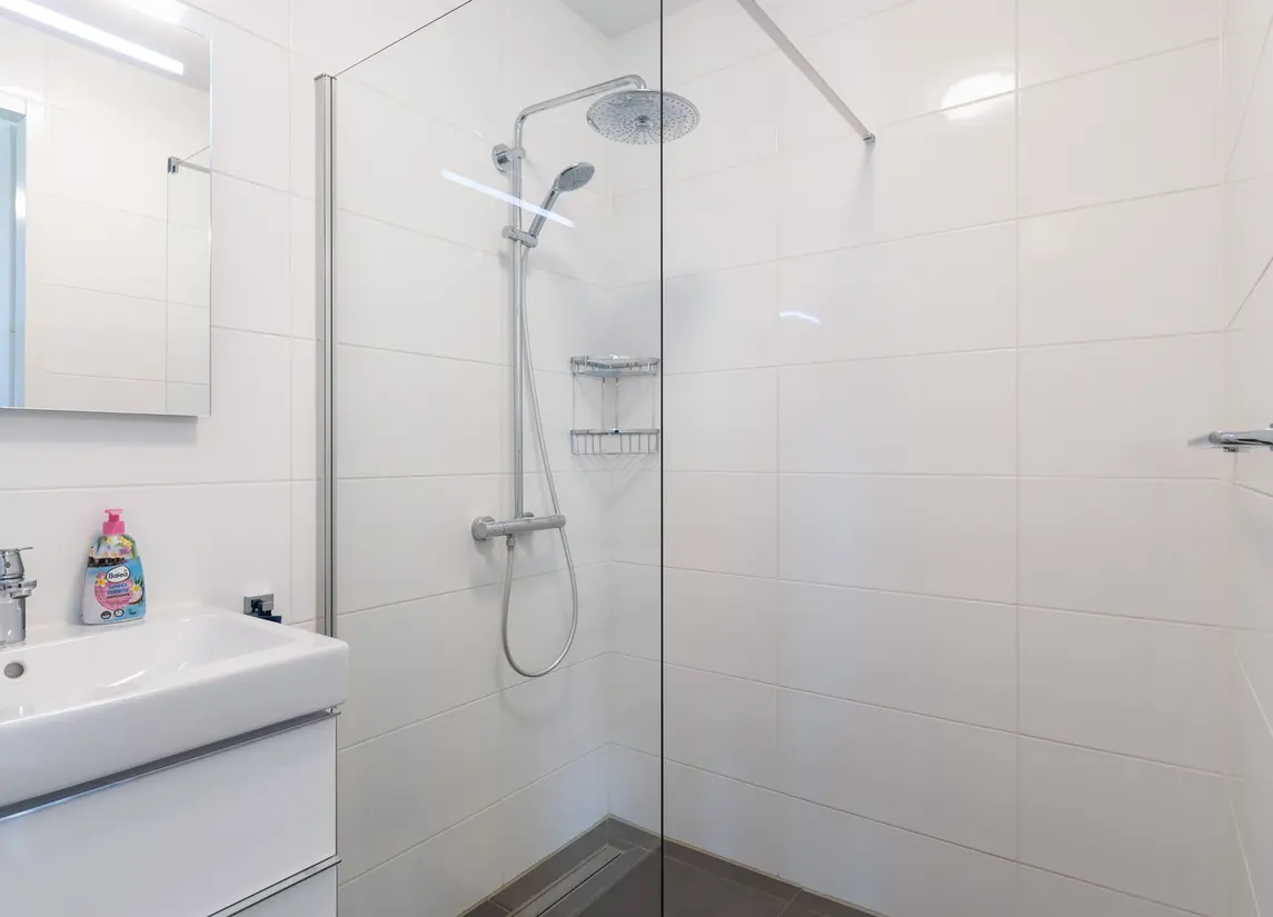 Zilveren Florijnlaan 261