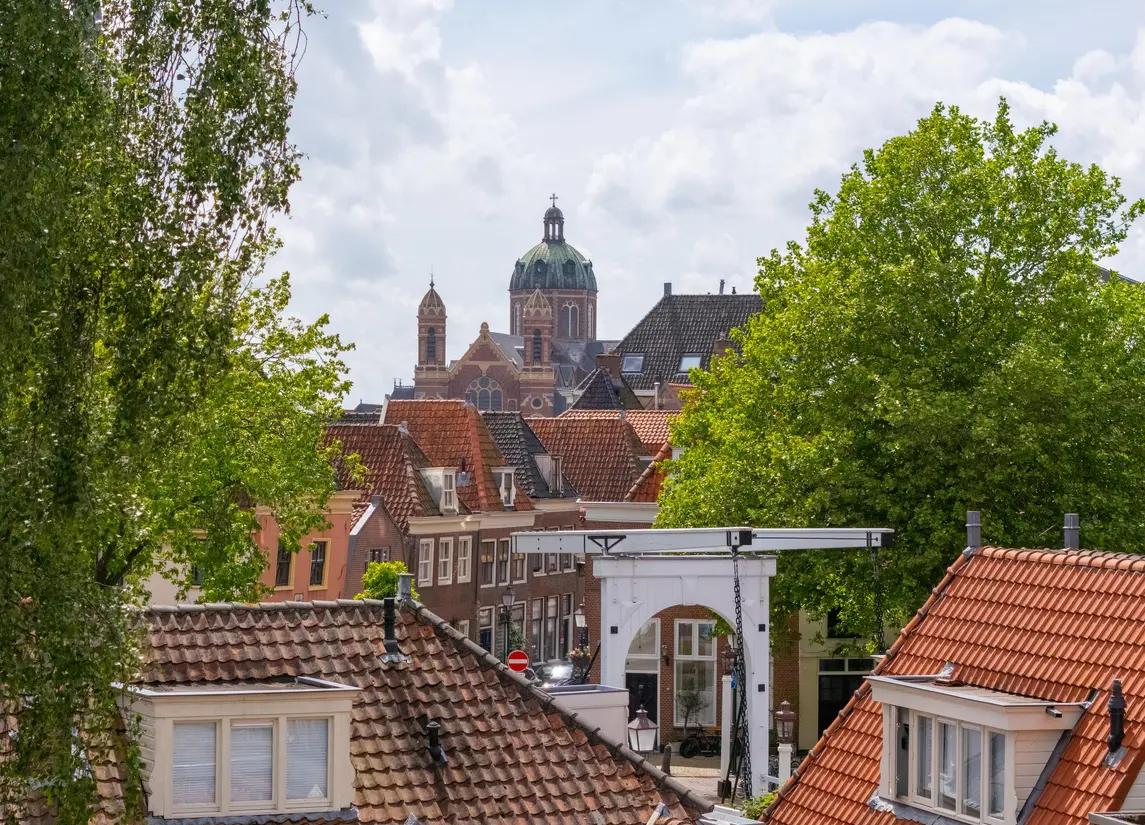 Jeudje 8