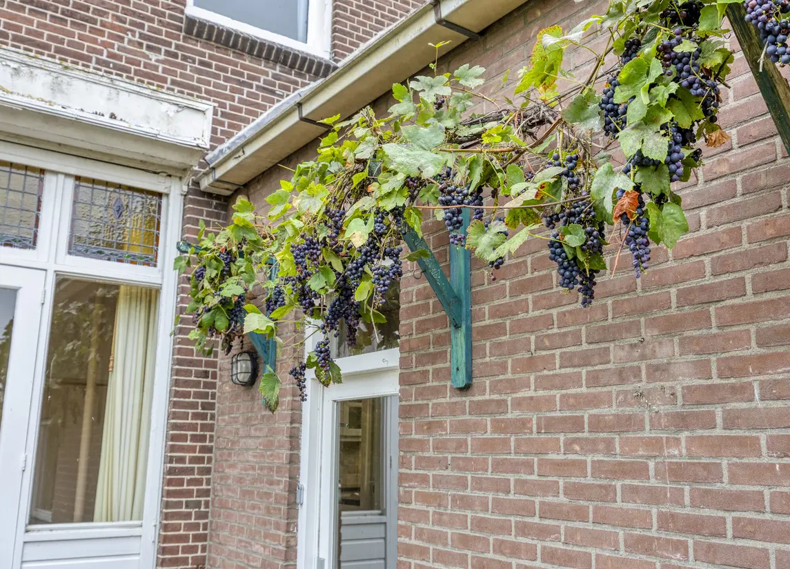 Burg de Zeeuwstraat 58