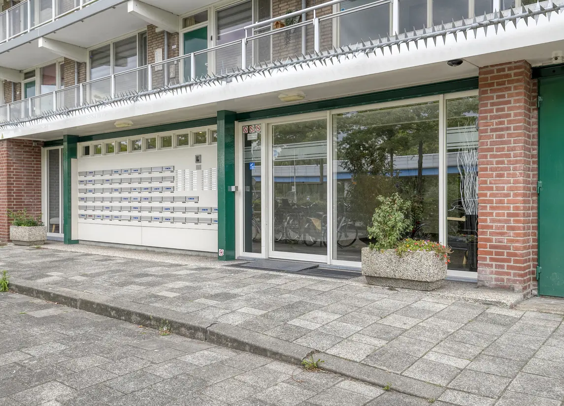 Alkenoord 284