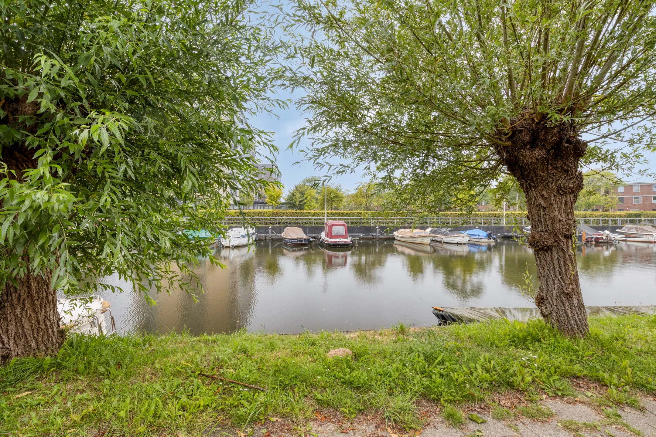 Harmen Doumastraat 12