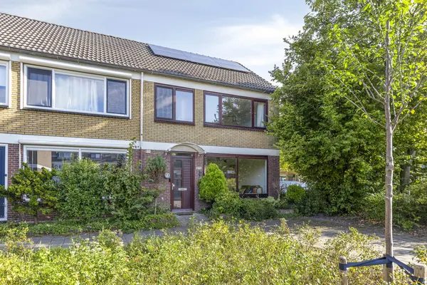 Graan voor Visch 19701
