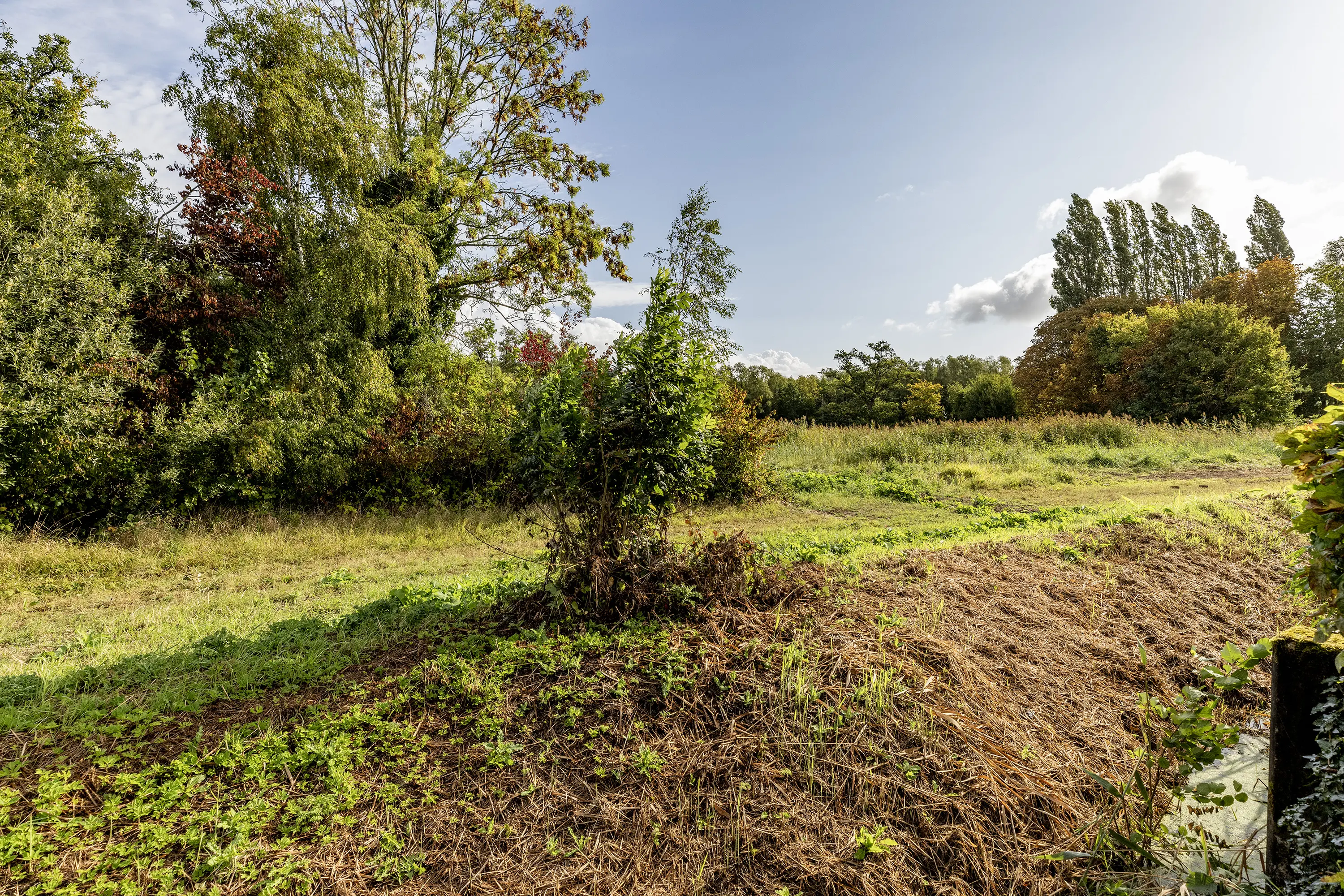 Hoogvlietsekerkweg 64