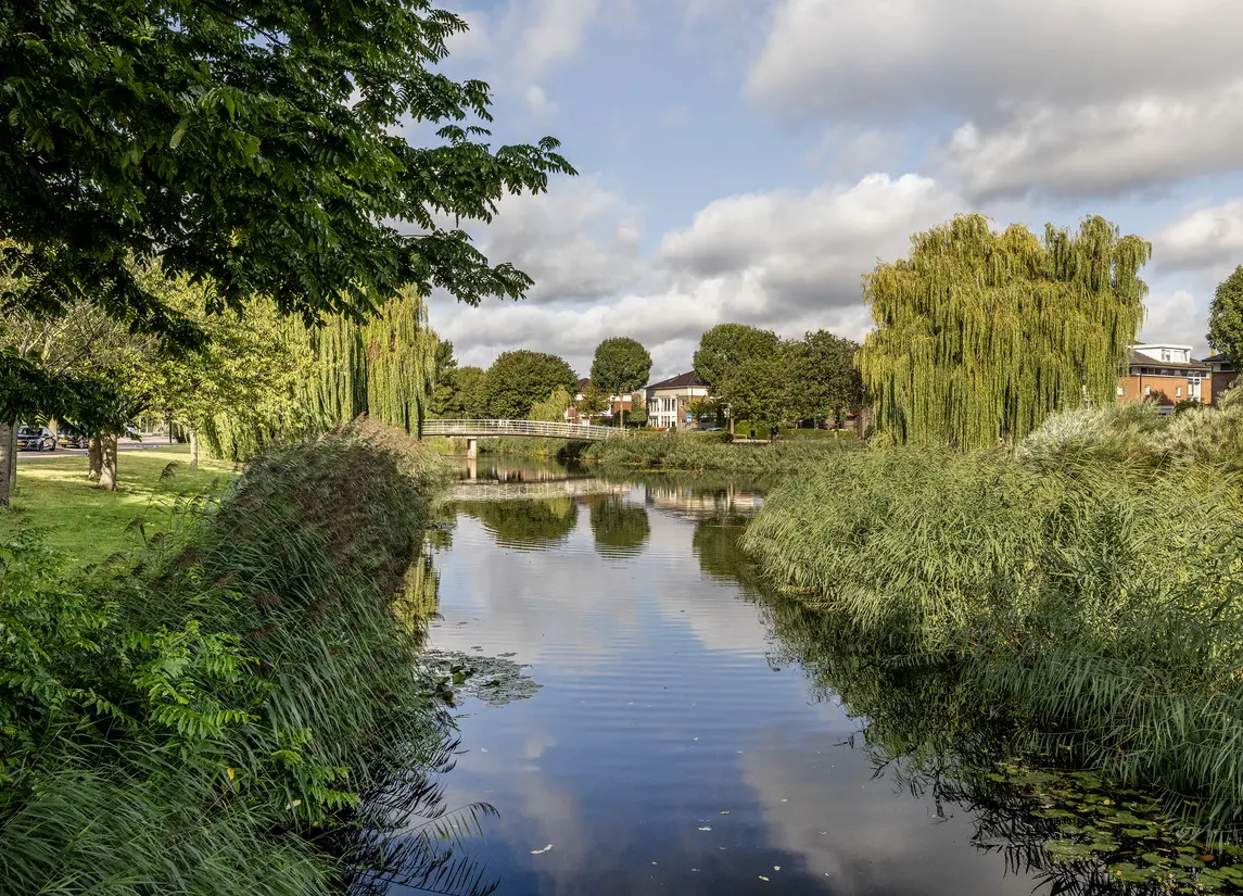 Meerwedesingel 85