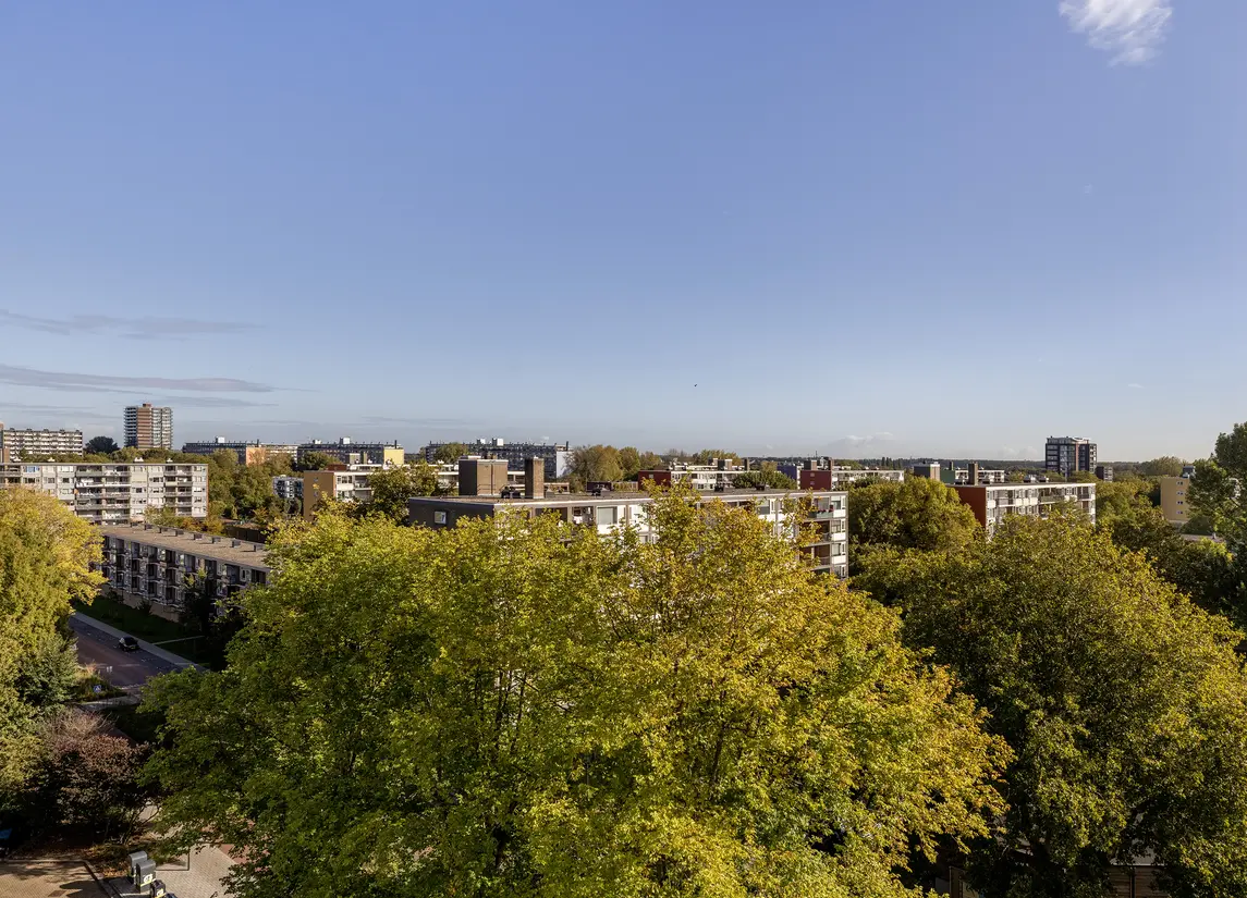 Griegplein 195